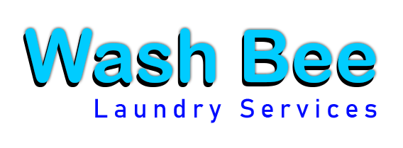 WashBee Mascot Image
